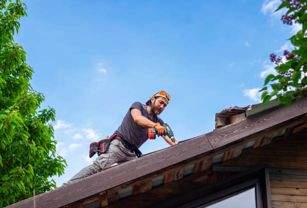 Best Skylight Installation and Repair  in Cambridge, IL